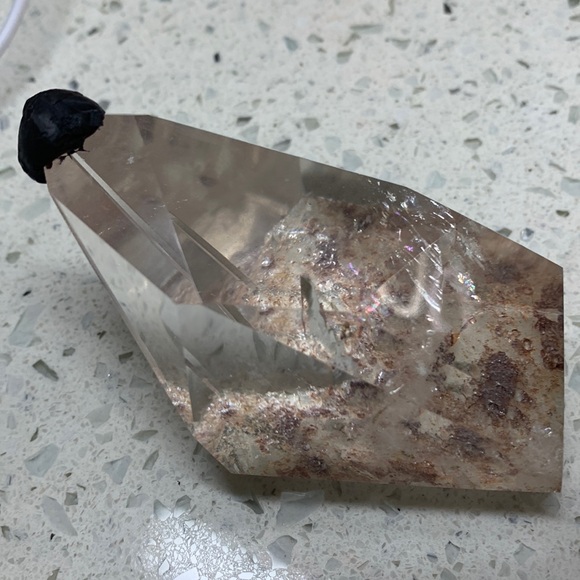 Magpie - Picture 1 of 1